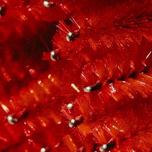 VALENTINE’S DAY ❤️GIFT CARD SALE!